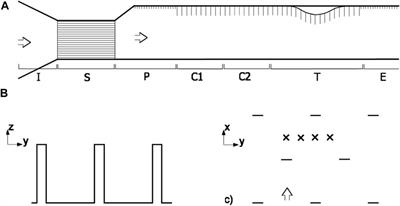 Experiments on the flow over a hill covered by a canopy in stably stratified conditions